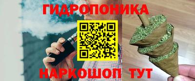 прущие грибы Донецк