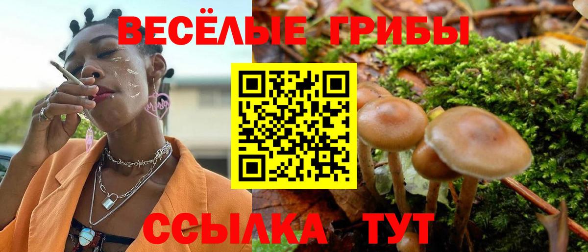 Псилоцибиновые грибы прущие грибы Людиново
