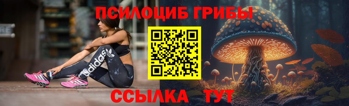 Людиново  Псилоцибиновые грибы мицелий  Вход с VPN 